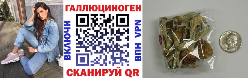 Псилоцибиновые грибы GOLDEN TEACHER  Новопавловск 