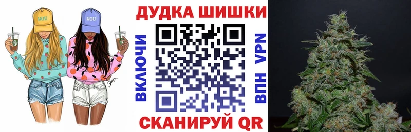 MEGA вход  Новопавловск  Каннабис Amnesia 